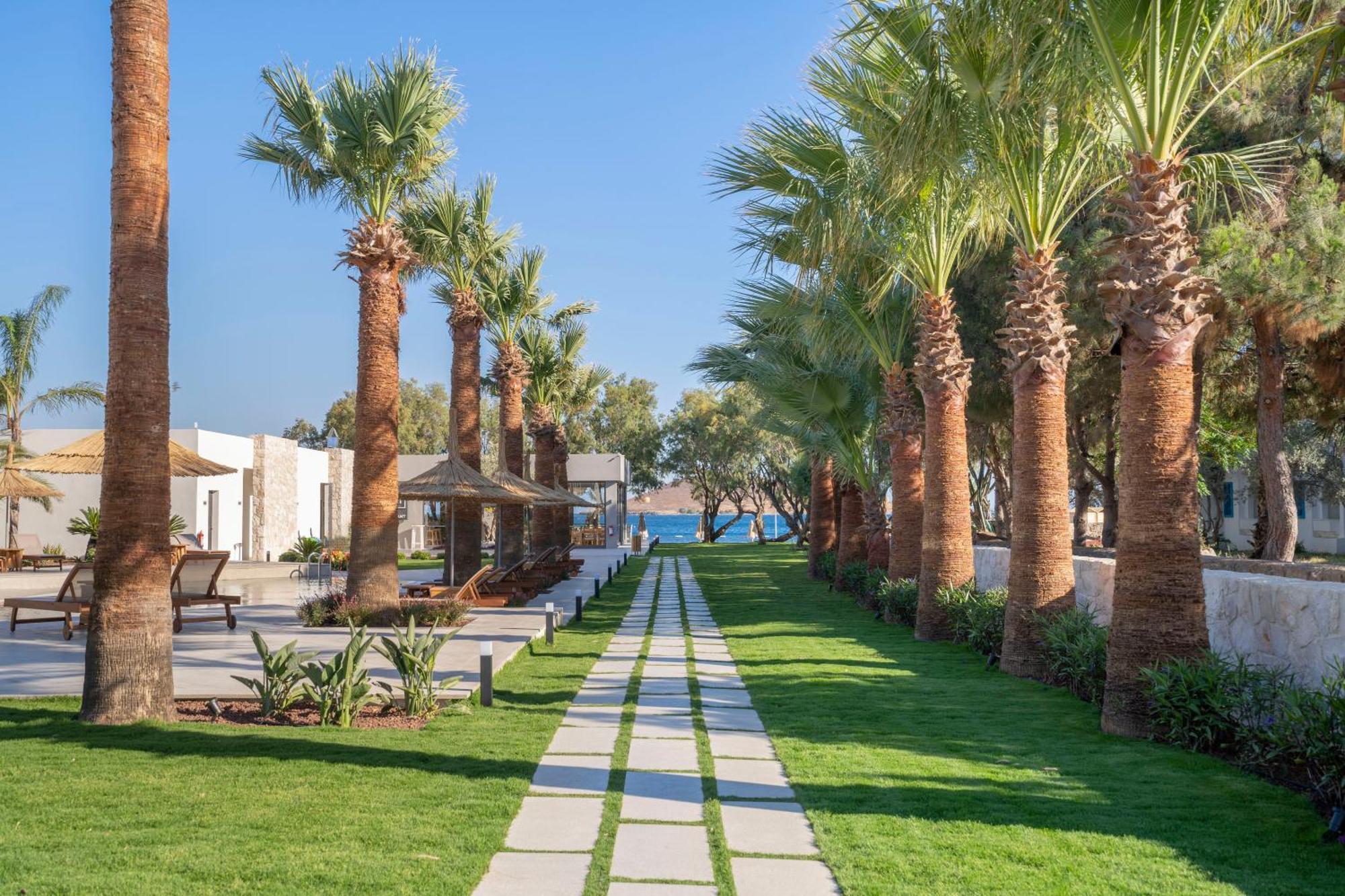 Regia Mare Beach Hotel & Spa Bodrum Ortakent Exteriér fotografie